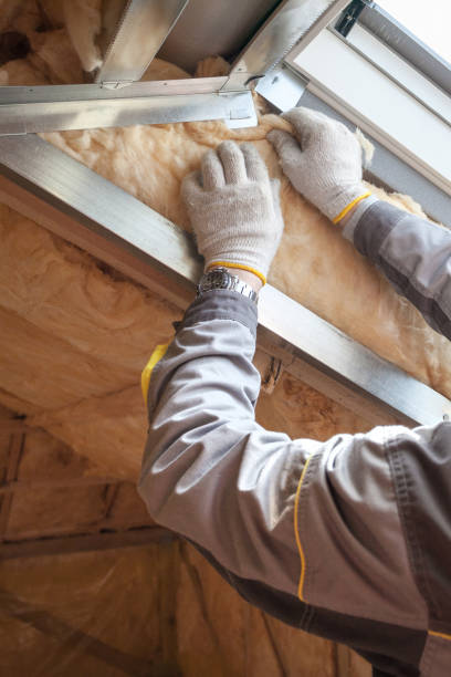 Best Specialized Insulation Services in Brownfields, LA