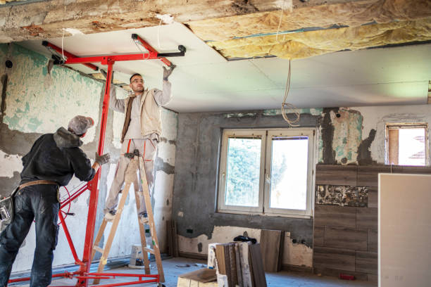 Professional Insulation Contractor in Brownfields, LA