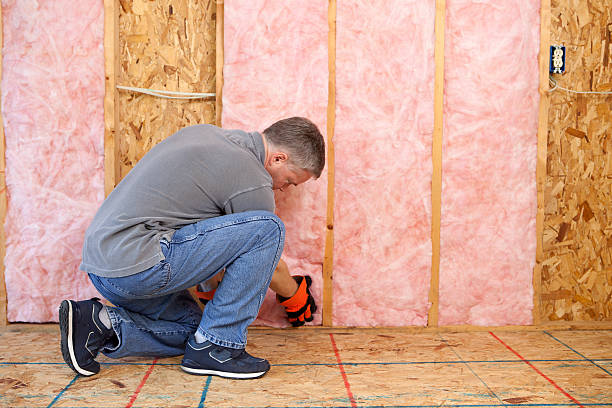 Types of Insulation We Offer in Brownfields, LA